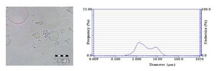 Particle Size Reduction And Monitoring Technologies - HORIBA