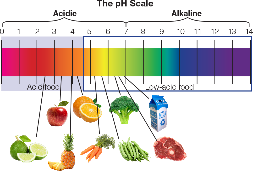 Ph Measurement Of Pickled Fruits And Vegetables Laqua [water Quality Analyzer Website] Horiba