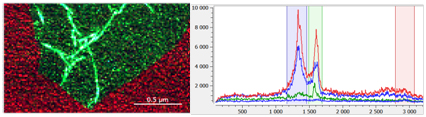 D-band TERS map of a graphene oxide flake  and typical single pixel TERS spectra