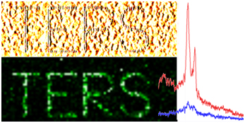 TERS map of the D-band intensity of the pattern imprinted in the single layer flake of graphene oxide on gold